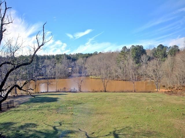 185 Maple Shade Dr, Tyrone, GA 30290 photo 23