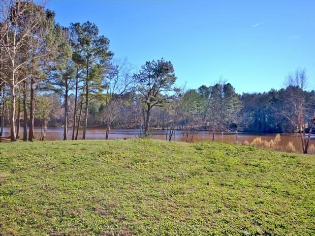 185 Maple Shade Dr, Tyrone, GA 30290 photo 21