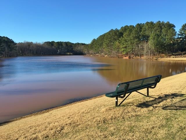185 Maple Shade Dr, Tyrone, GA 30290 photo 20