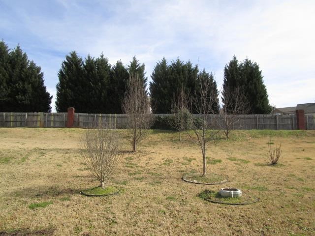 247 Long Dr, Mcdonough, GA 30253 photo 13