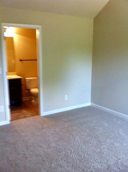 1845 Schofield Dr, Hampton, GA 30228 photo 20