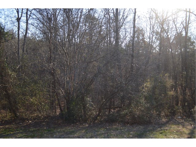 125 Selah Ln, Cornelia, GA 30531 photo 21
