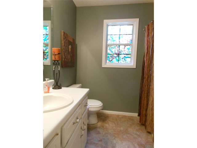 151 Moss Rose Trl, White, GA 30184 photo 14