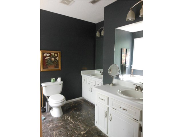 151 Moss Rose Trl, White, GA 30184 photo 11