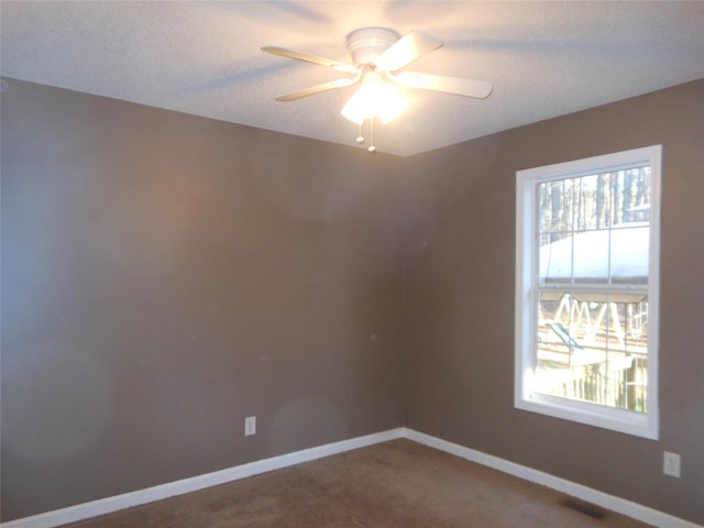 151 Moss Rose Trl, White, GA 30184 photo 13