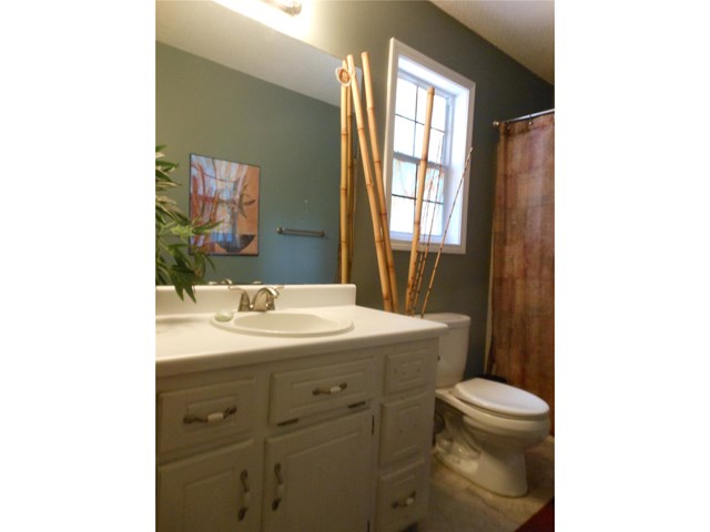 151 Moss Rose Trl, White, GA 30184 photo 18