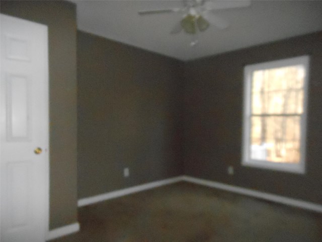 151 Moss Rose Trl, White, GA 30184 photo 15