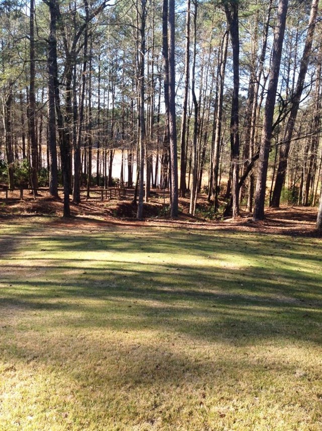205 Lakeshore Dr, Lagrange, GA 30240 photo 10