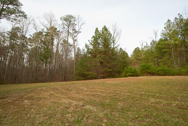 107 Summit View Rd, Jackson, GA 30233 photo 18