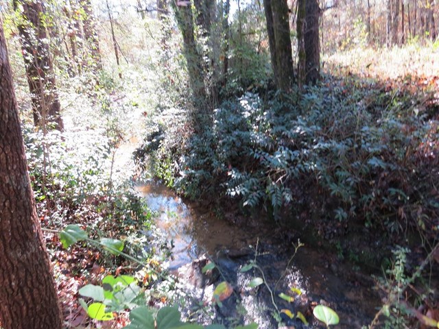628 Lovers Ln, Toccoa, GA 30577 photo 21