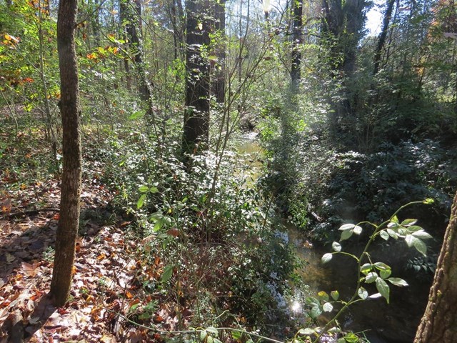 628 Lovers Ln, Toccoa, GA 30577 photo 20