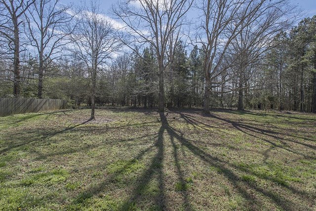 252 Caitlyn Dr, Hampton, GA 30228 photo 25