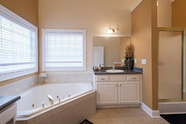 252 Caitlyn Dr, Hampton, GA 30228 photo 16