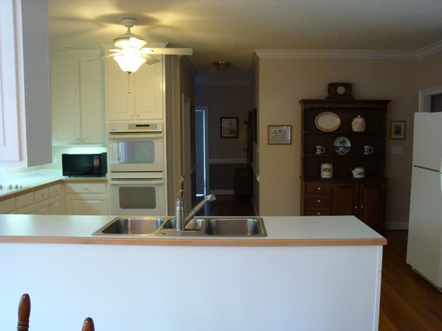 11432 Azalea Trl, Hampton, GA 30228 photo 18