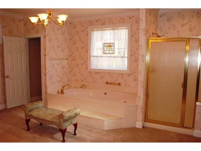 11432 Azalea Trl, Hampton, GA 30228 photo 8