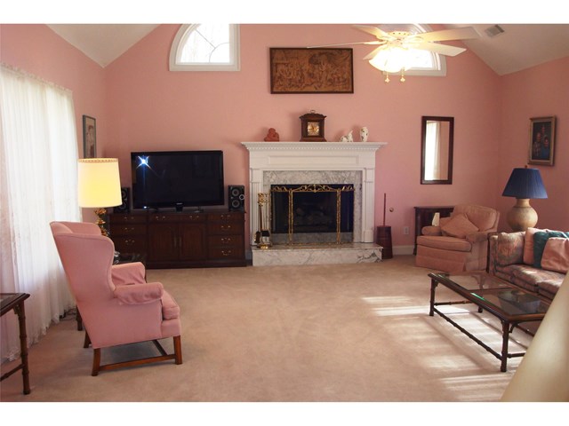 11432 Azalea Trl, Hampton, GA 30228 photo 2