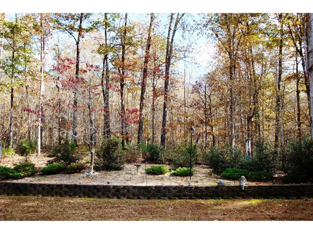 11432 Azalea Trl, Hampton, GA 30228 photo 15