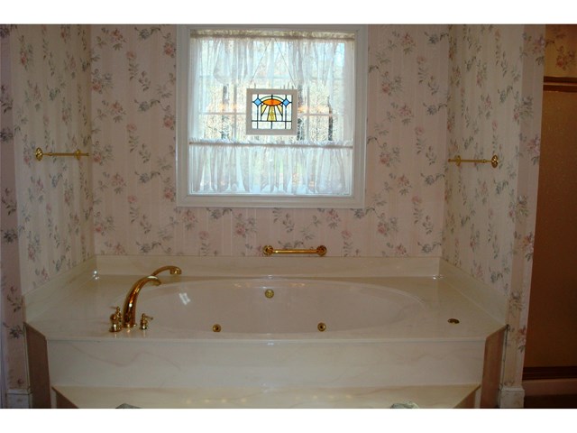 11432 Azalea Trl, Hampton, GA 30228 photo 9