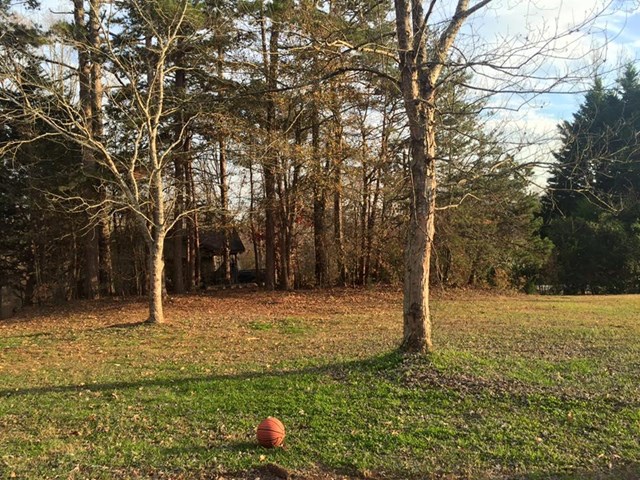 1123 Shady Ln, Toccoa, GA 30577 photo 3