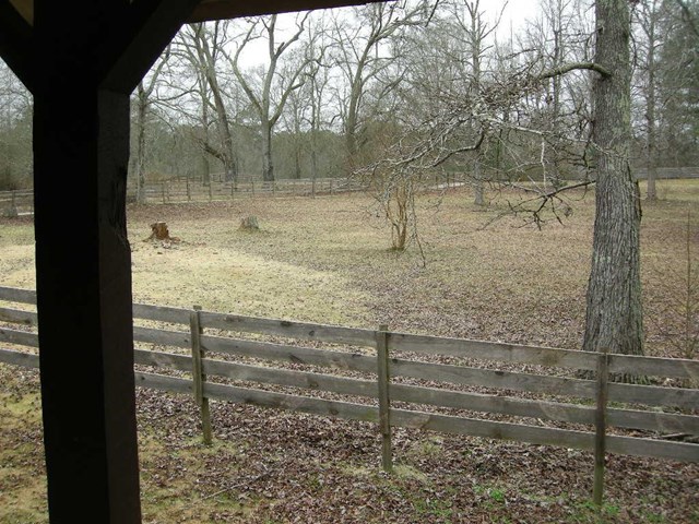 11530 Turner Rd, Hampton, GA 30228 photo 21