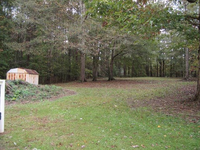 395 Freestone Dr, Newnan, GA 30265 photo 3