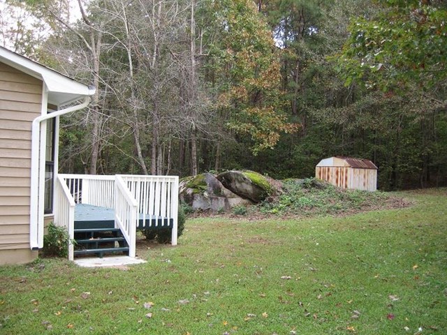 395 Freestone Dr, Newnan, GA 30265 photo 2