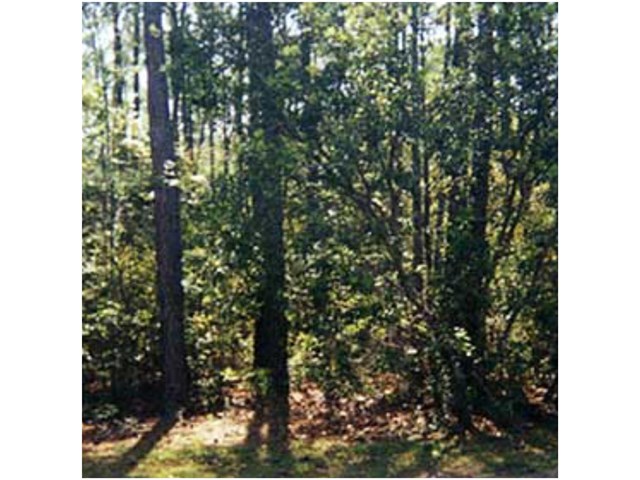 3045 Jones Phillips Rd, Dacula, GA 30019 photo 1