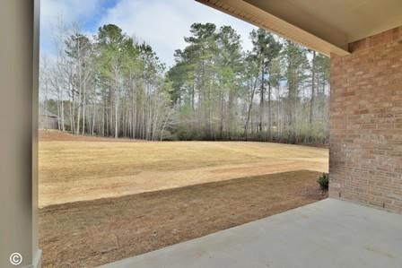 121 Coca Way, Cataula, GA 31804 photo 23