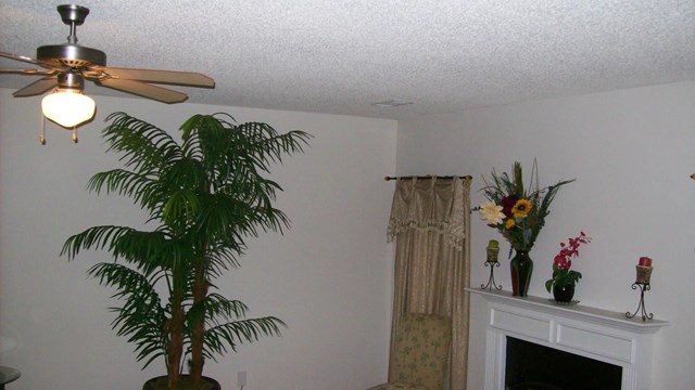 590 Vaughan Dr, Hampton, GA 30228 photo 8