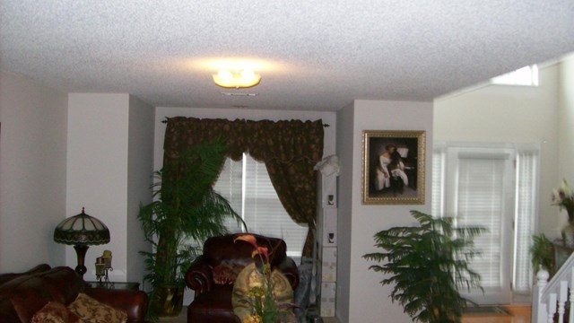 590 Vaughan Dr, Hampton, GA 30228 photo 3