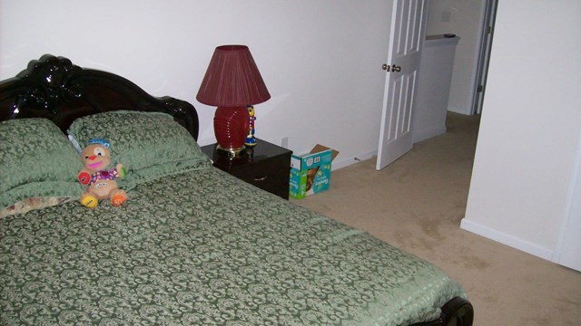 590 Vaughan Dr, Hampton, GA 30228 photo 10
