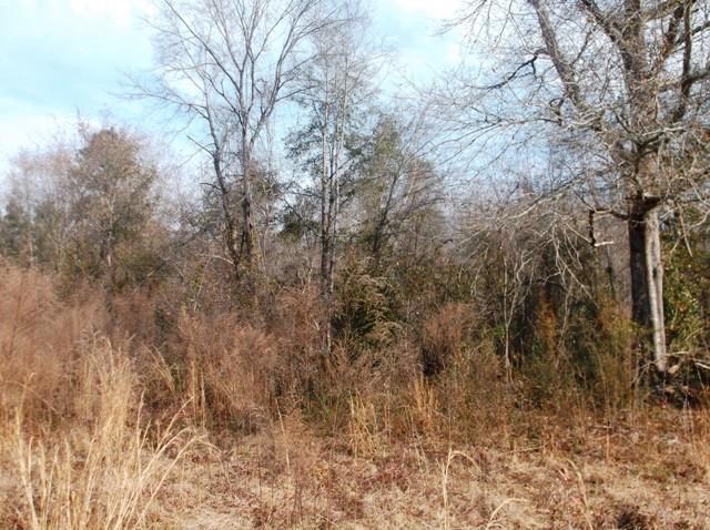532 Williams Rd, Claxton, GA 30417 photo 12