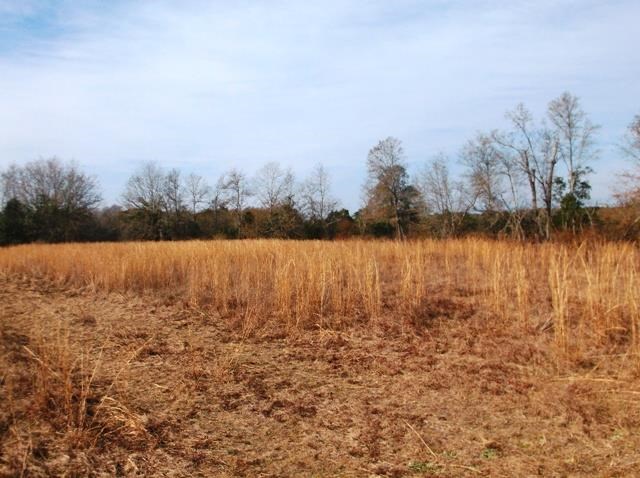 532 Williams Rd, Claxton, GA 30417 photo 2
