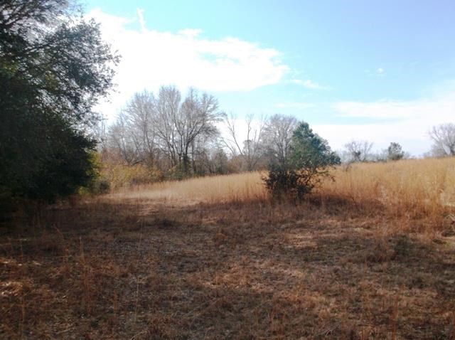 532 Williams Rd, Claxton, GA 30417 photo 15