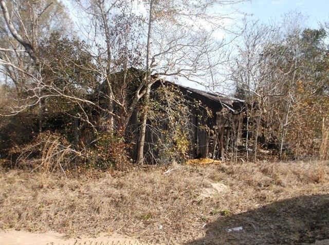 532 Williams Rd, Claxton, GA 30417 photo 19