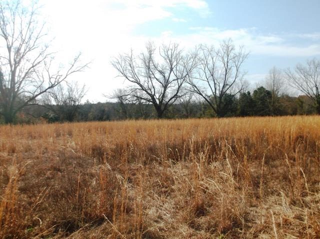 532 Williams Rd, Claxton, GA 30417 photo 1