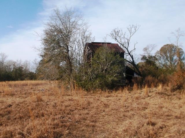 532 Williams Rd, Claxton, GA 30417 photo 8