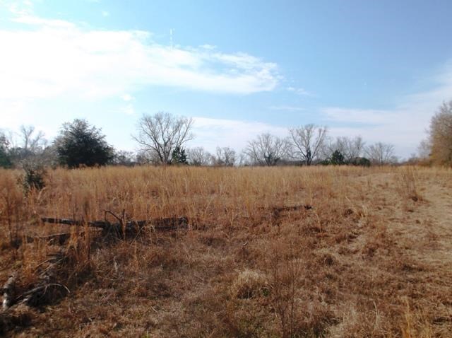 532 Williams Rd, Claxton, GA 30417 photo 11