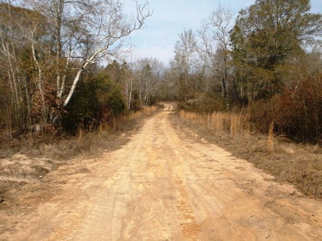 532 Williams Rd, Claxton, GA 30417 photo 17