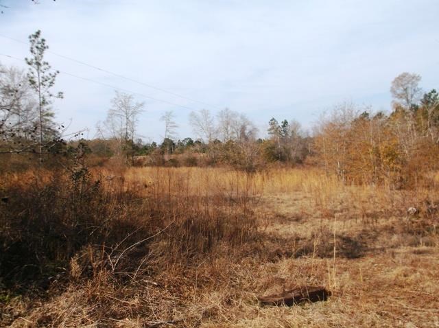 532 Williams Rd, Claxton, GA 30417 photo 18