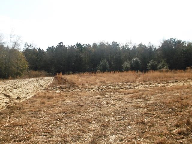 532 Williams Rd, Claxton, GA 30417 photo 13