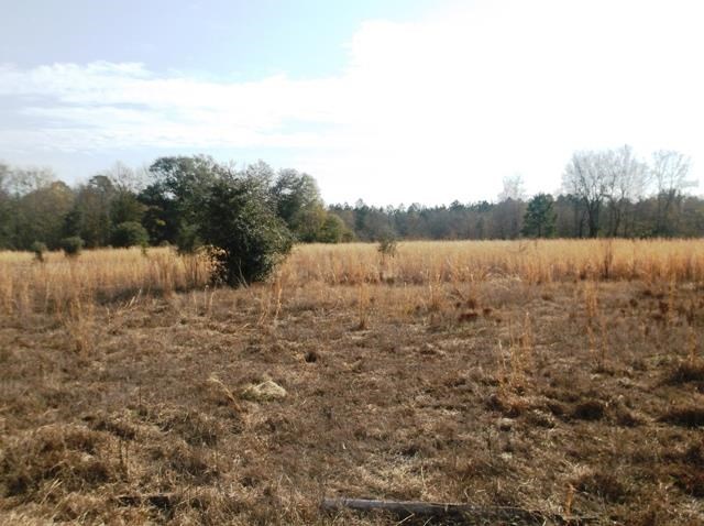 532 Williams Rd, Claxton, GA 30417 photo 9