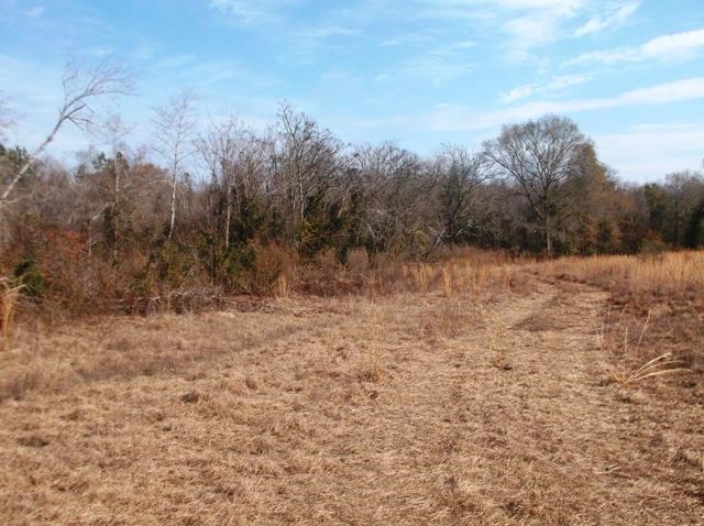 532 Williams Rd, Claxton, GA 30417 photo 10