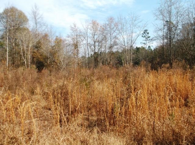 532 Williams Rd, Claxton, GA 30417 photo 22