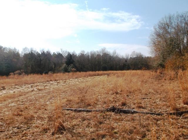 532 Williams Rd, Claxton, GA 30417 photo 14