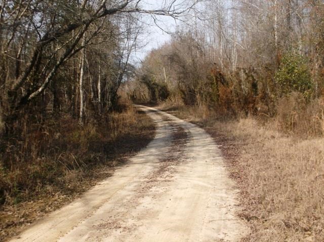 532 Williams Rd, Claxton, GA 30417 photo 23