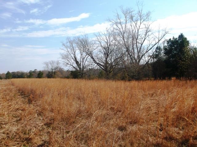 532 Williams Rd, Claxton, GA 30417 photo 3