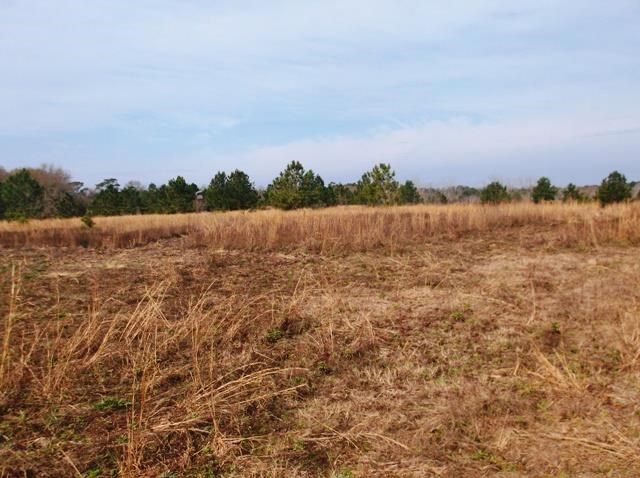 532 Williams Rd, Claxton, GA 30417 photo 7