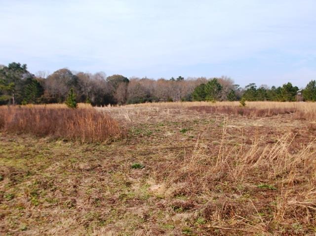 532 Williams Rd, Claxton, GA 30417 photo 6