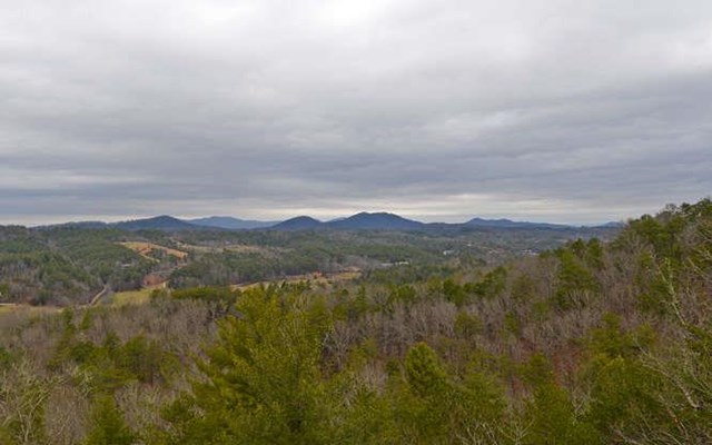 110 Down Yonder Rd, Morganton, GA 30560 photo 18